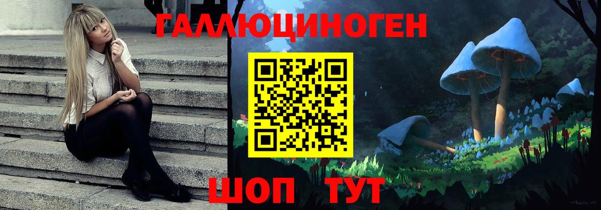 Псилоцибиновые грибы Psilocybine cubensis Майский