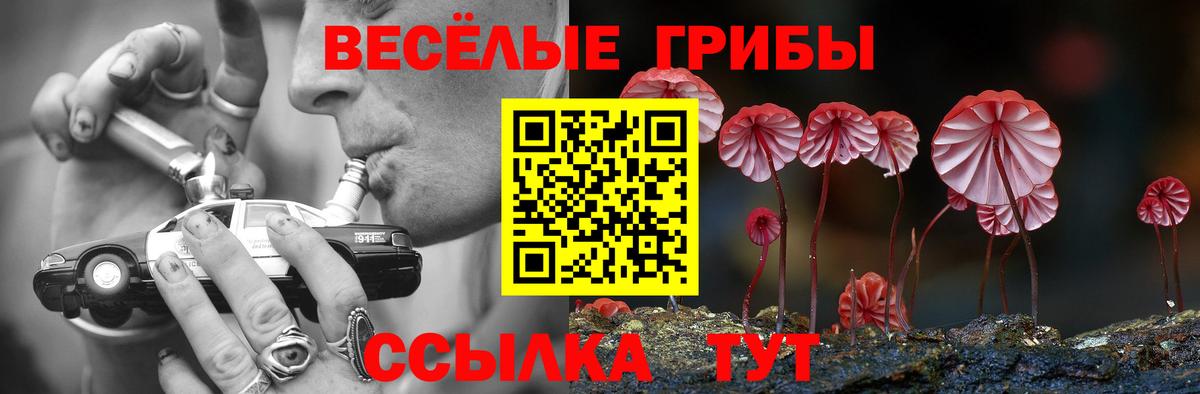 где найти наркотики  Галлюциногенные грибы Magic Shrooms  Майский  Вход с VPN  Псилоцибиновые грибы MAGIC MUSHROOMS 