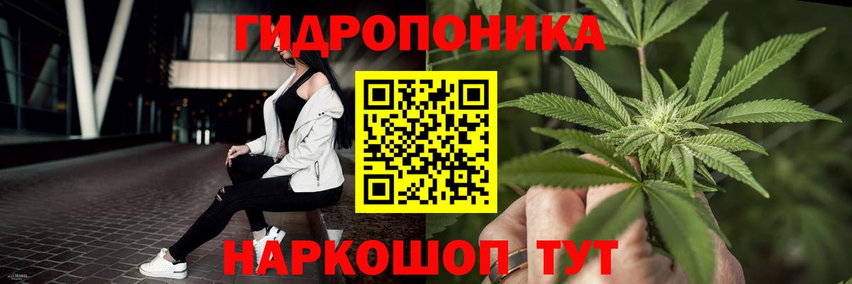 Бошки Шишки сатива Майский